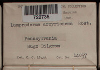 Image Associated With the Occurence